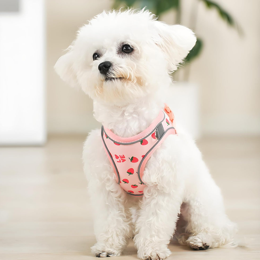 Step in Dog Harness and Leash Set, Pet Vest Harness