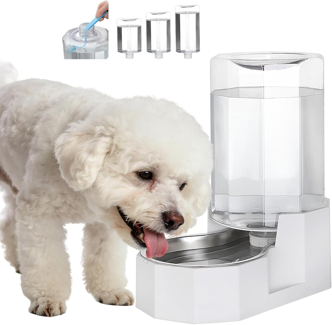 Sfozstra 7L Raised Dog Water Dispenser: Comfortable Drinking