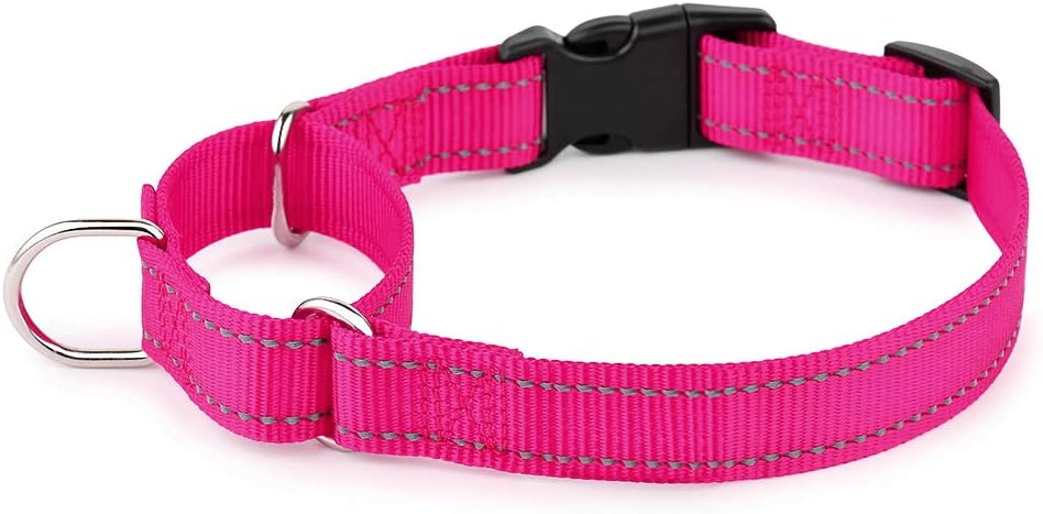 PLUTUS PET Reflective Martingale Collar with Quick Snap Buckle,No