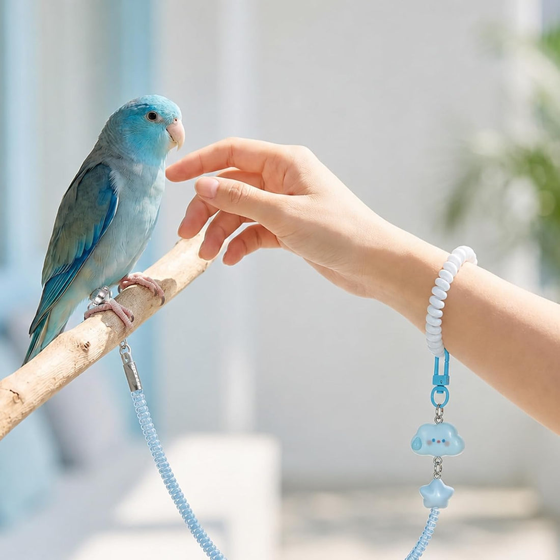 Parrot Flying Leash, Elastic Bird Harness with Foot Rings
