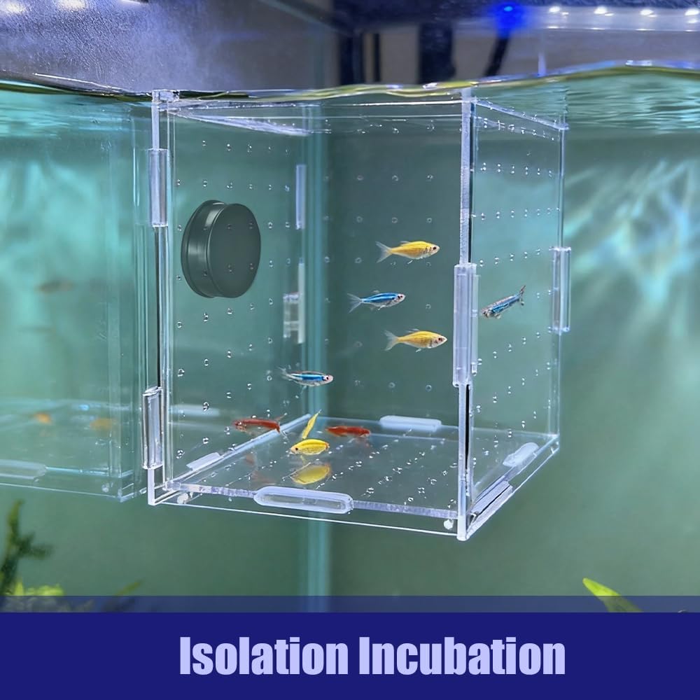 Fish Breeding Box, Acrylic Fish Isolation Container Aquariums