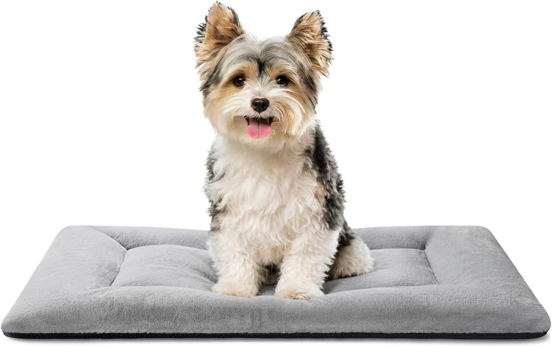 Dog Crate Pad, Washable Cozy Dog Bed Mat for Medium Dogs 36"x23", Gray
