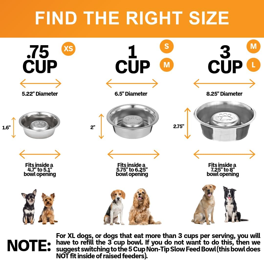 Neater Pet Brands Stainless Steel Slow Feed Dog Bowl