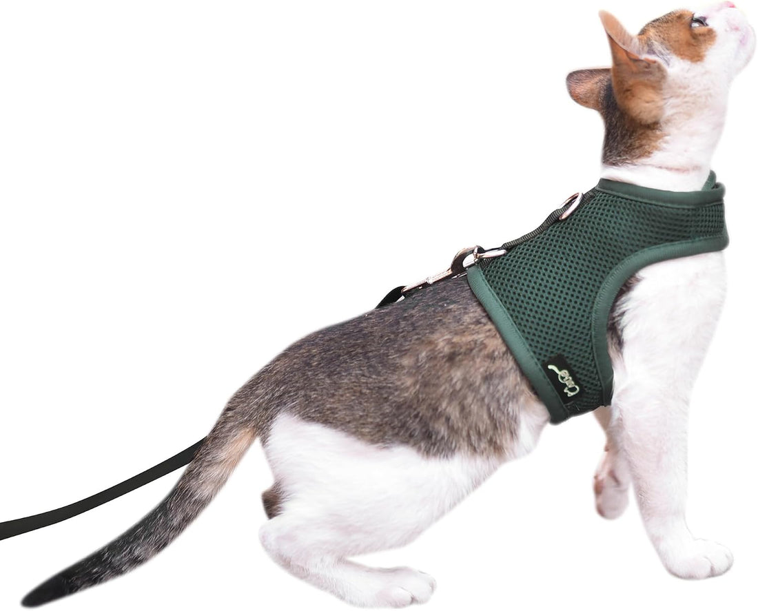 Cat Harness and Leash Set for Walking Escape Proof, Blue, Large