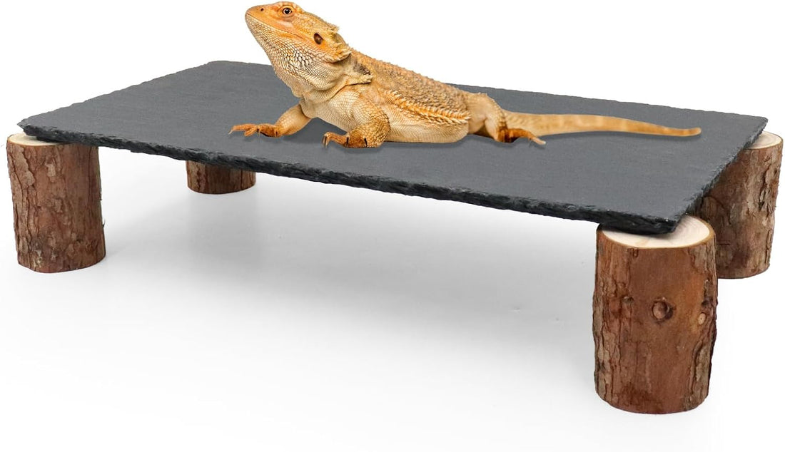 Bearded Dragon Basking Platform