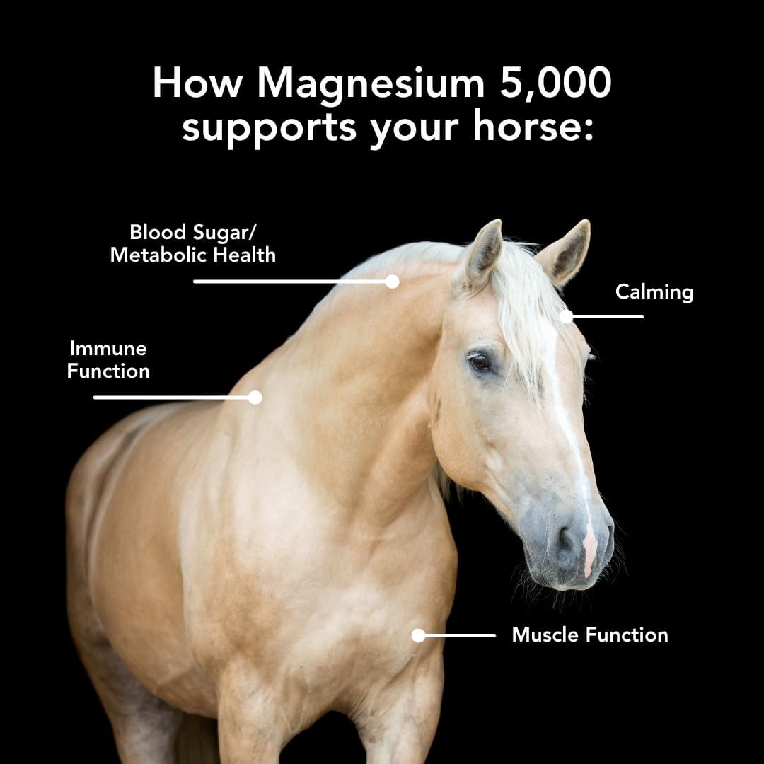 Magnesium 5000 Calming/Metabolism/Muscle Function Support for Horses