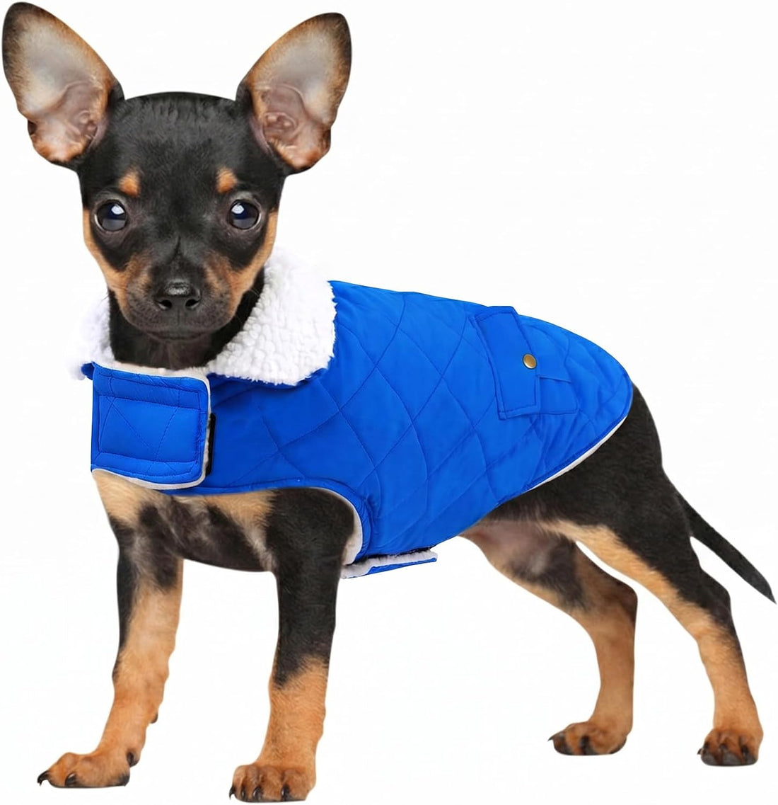Extra-Small Dog Winter Coat, Puppy Plaid Warm Puffer Jacket