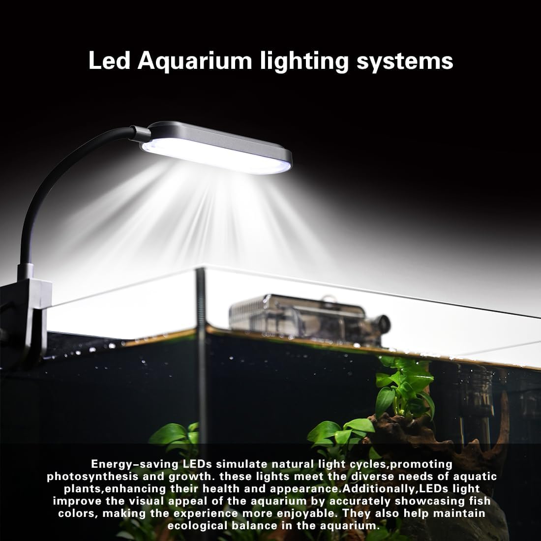 2.8 Gallon Glass Fish Tank,Small Fish Tank with Light and Filter