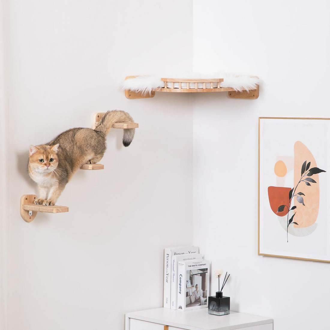 3pcs Cat Wall Steps, Climbing Mounted Furniture