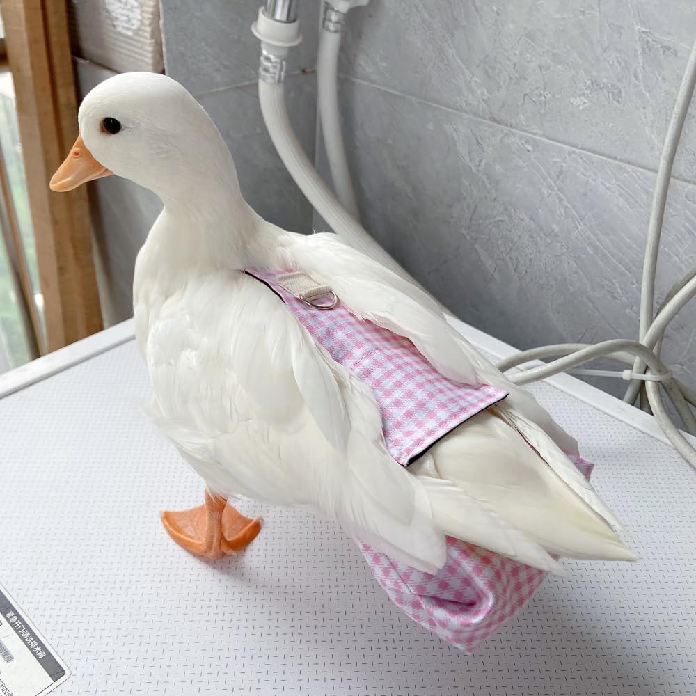 Duck Diapers, Chicken Diapers, Special Diapers for Poultry, Chicken