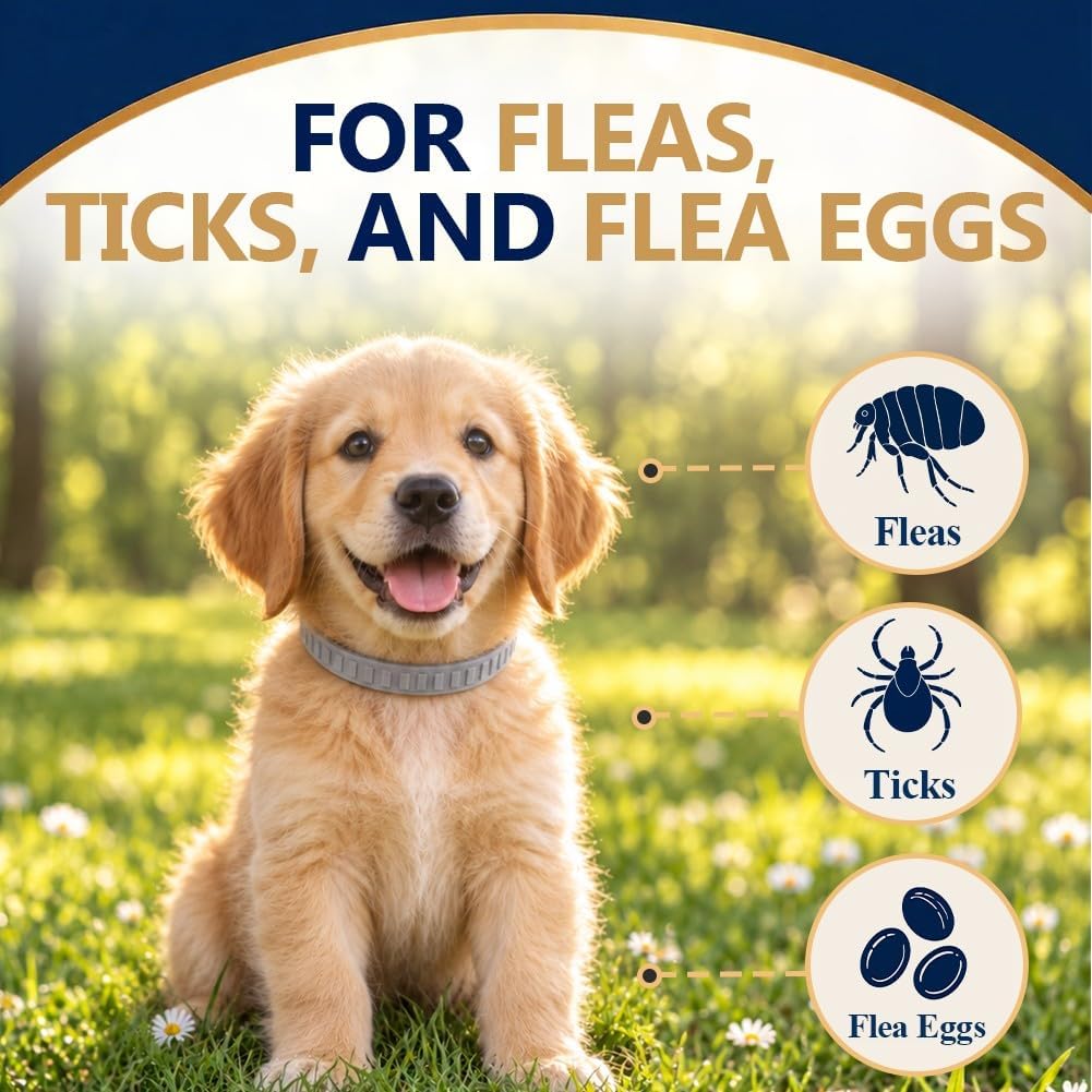 Flea Collar for Dogs, Flea and Tick Collar for Small Dogs, 2 Pcs