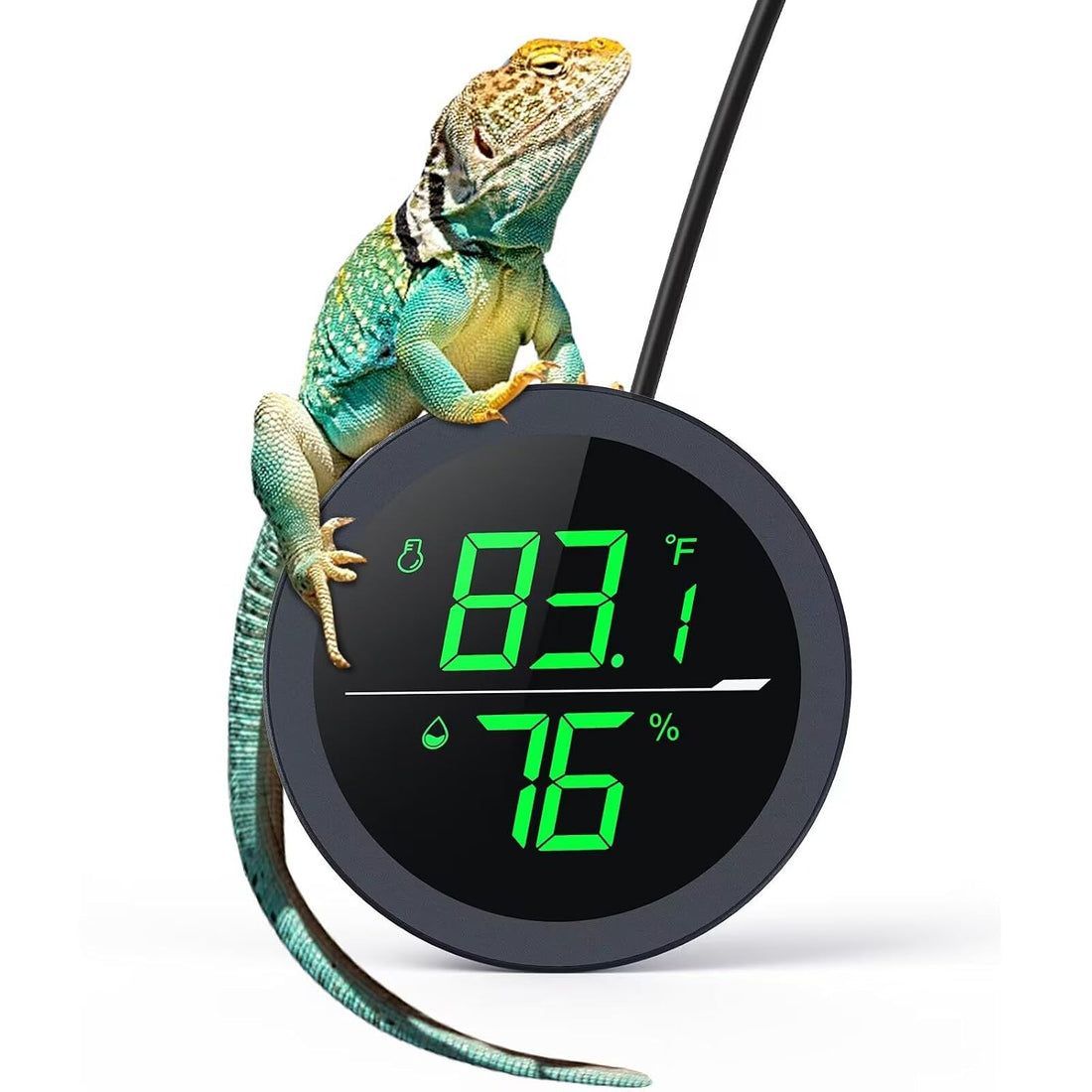 PAIZOO Real-time Display LED Digital Reptile Thermometer and Humidity