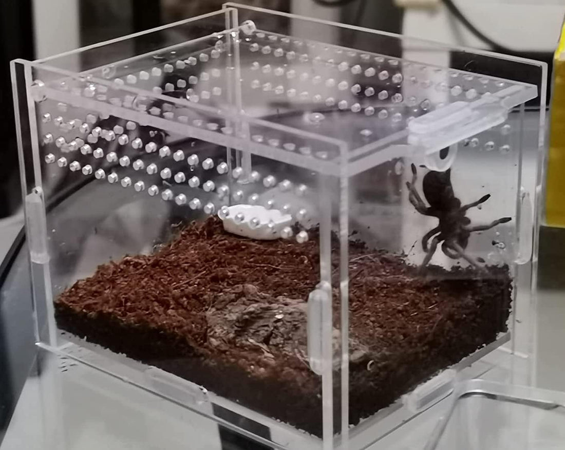 AWXZOM Magnetic Acrylic Case