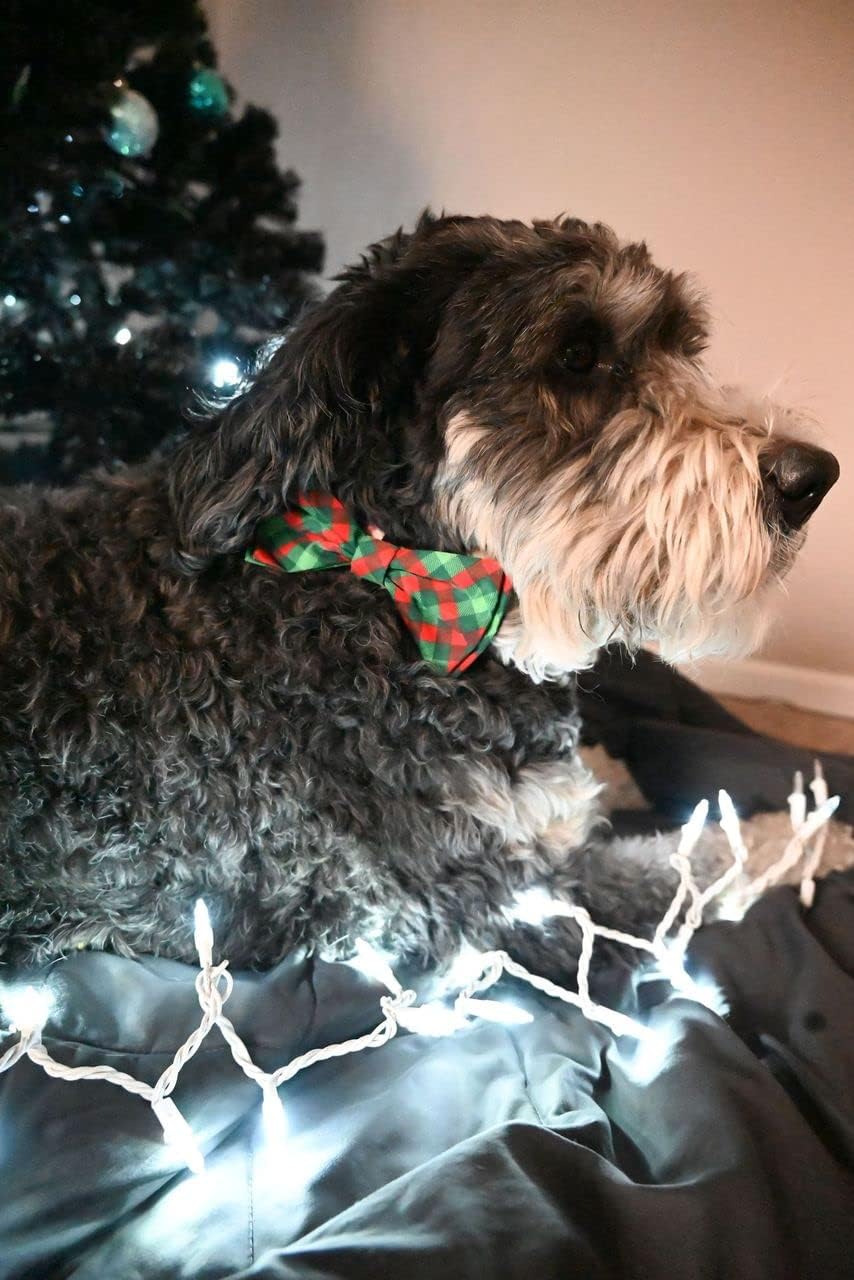 Huxley & Kent Pet Bow Tie for Dogs & Cats, Scottish Check