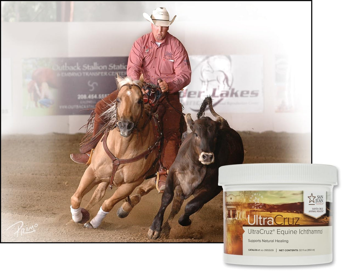 UltraCruz® Equine Ichthammol, 32 oz