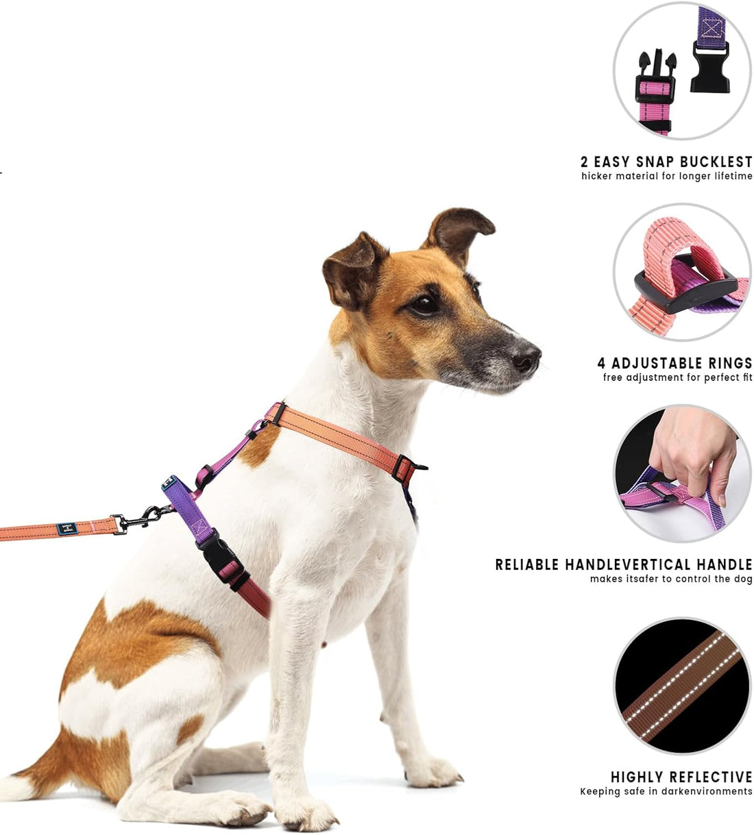 Roses&Poetry Dog Harness with Leash, No Pull Adjustable Harness Leash