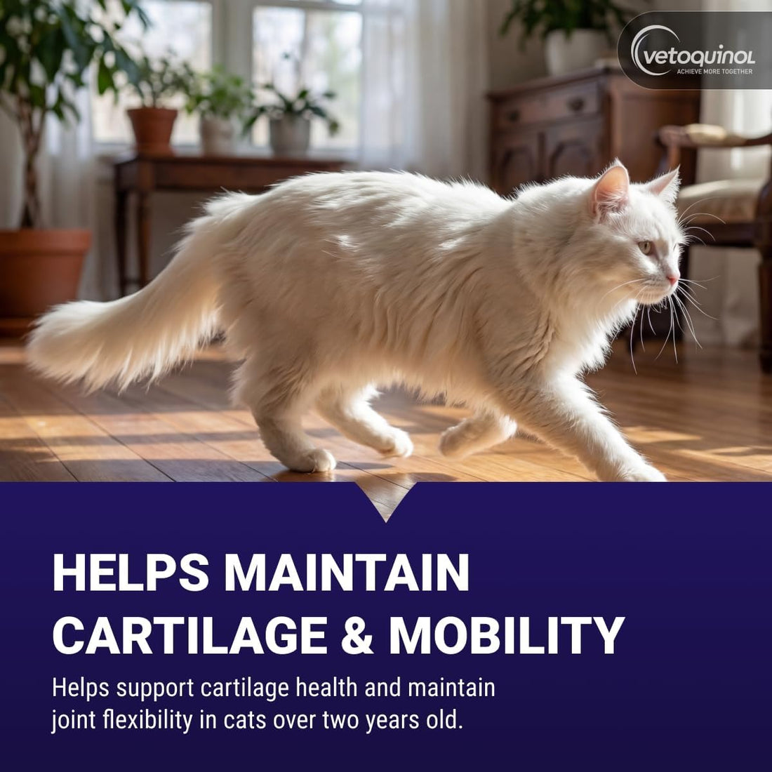 Vetoquinol Flexadin - Joint Support for Cats of Any Size