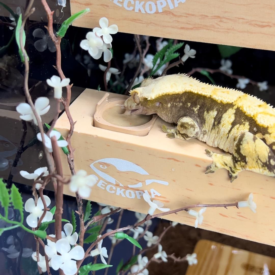 GECKOPIA Reptile Flex Bridge Large (Plain Wood, 18 Inch Long)