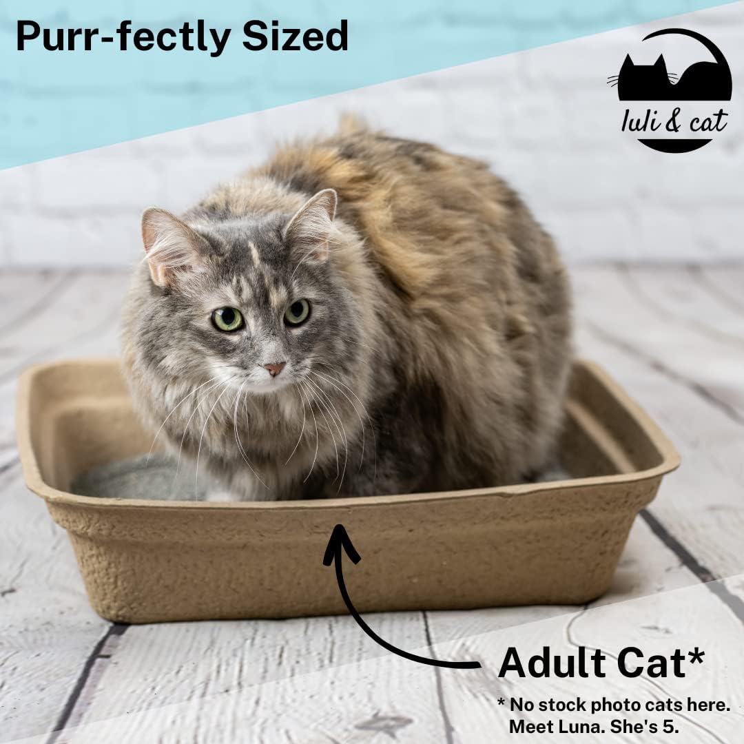 Luli & Cat Disposable Litter Boxes for Cats | Large Sized 4-Pack