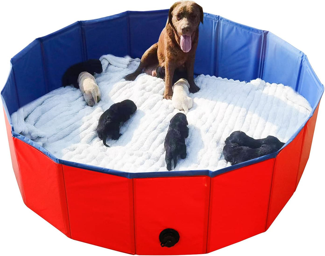 Artilife Whelping Pen for Dogs,Whelping Box for Small Dogs