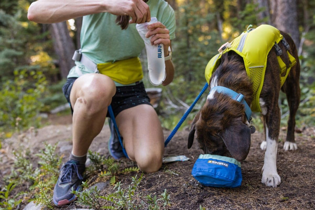 Ruffwear, Trail Runner Collapsible Dog Bowl, 4.2 Cups (1 L), Blue Pool