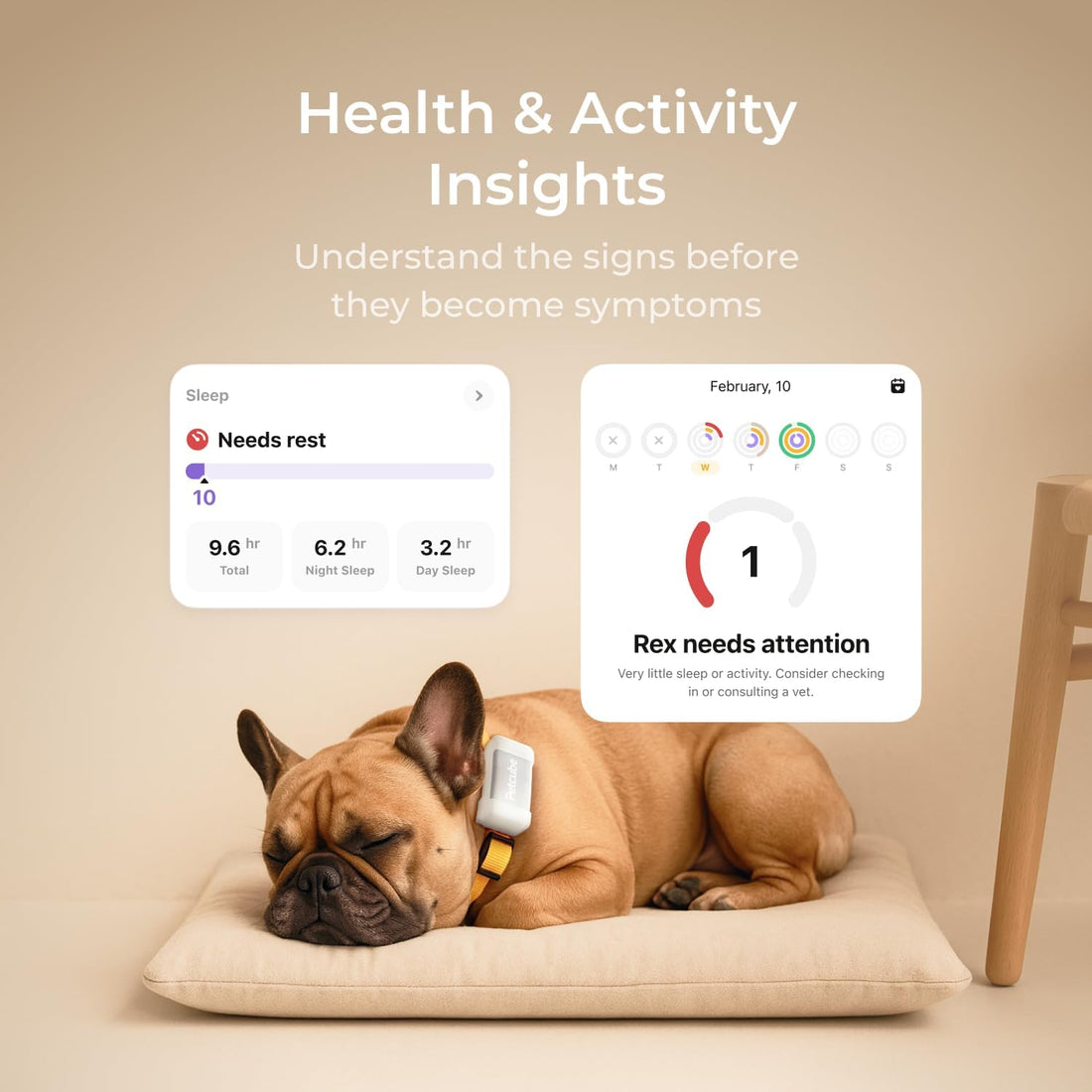 Petcube GPS Tracker for Dogs – Real-Time GPS Tracking & Escape Alerts
