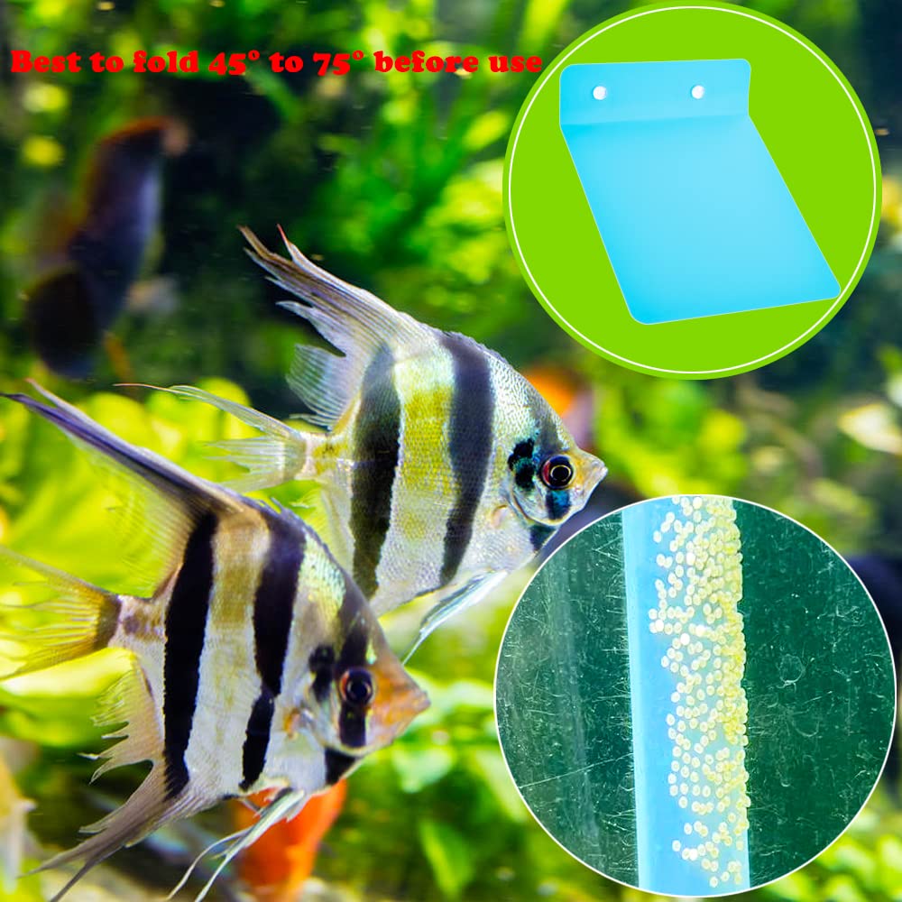 2 Pack Angelfish Discus Breeding Slate