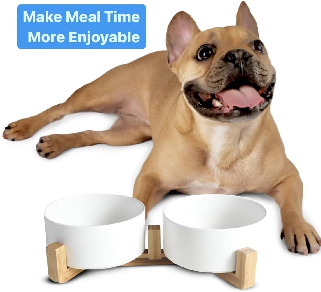 Ceramic Cat and Small Dog Bowl Set