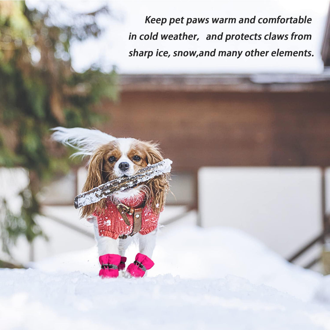 Dog Snow Boots, Dog Shoes for Winter