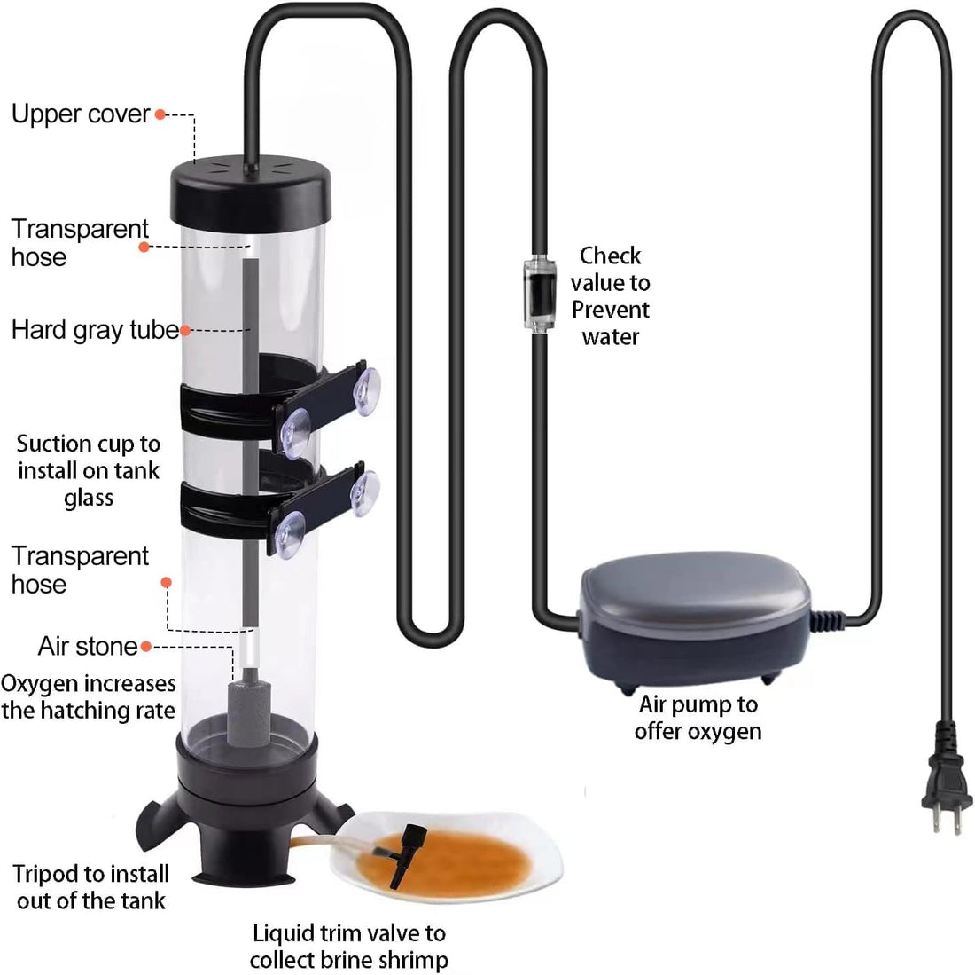 Brine Shrimp Eggs Incubator Artemia Hatchery with Silver Air Pump