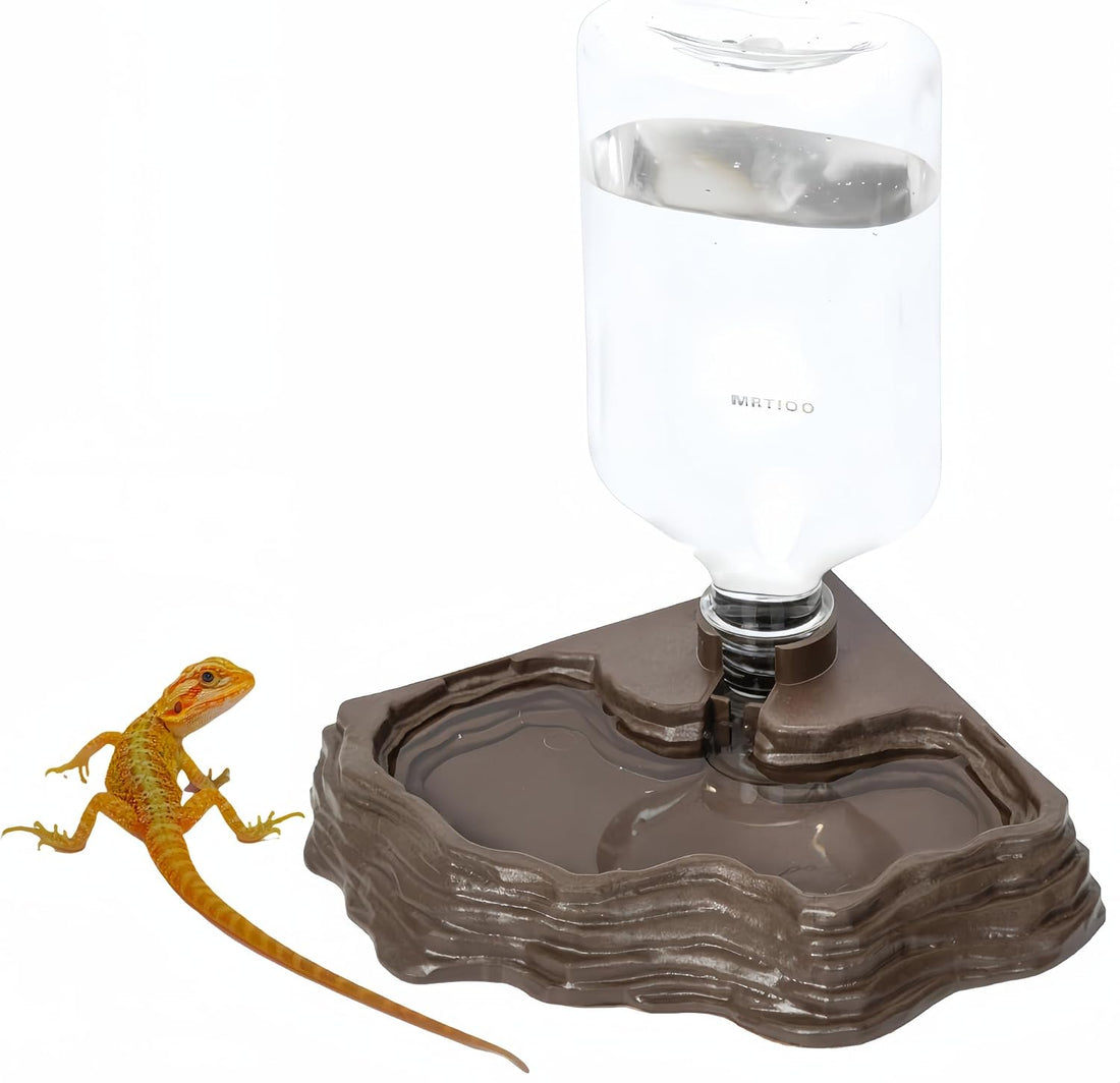 Lizard Bearded Dragon Water Bowl Dish Automatic Dispenser,17oz