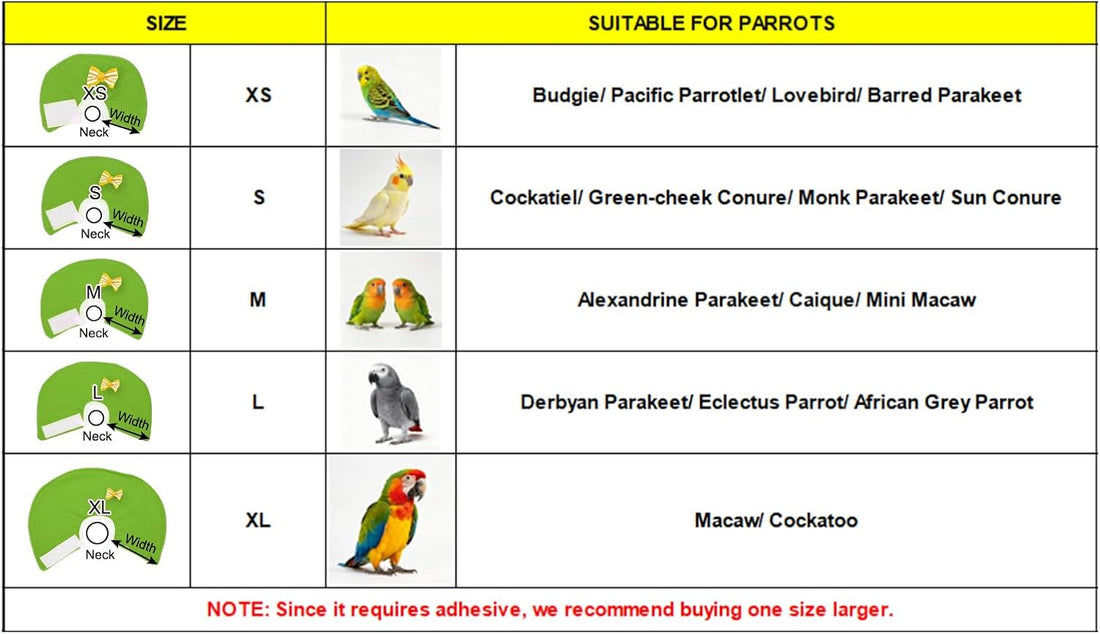 Bird Collars Protective Recovery Cones Green L 3Pcs