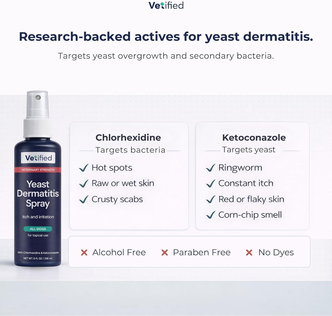 Yeast Dermatitis Treatment for Dogs - 8 Fl Oz Spray
