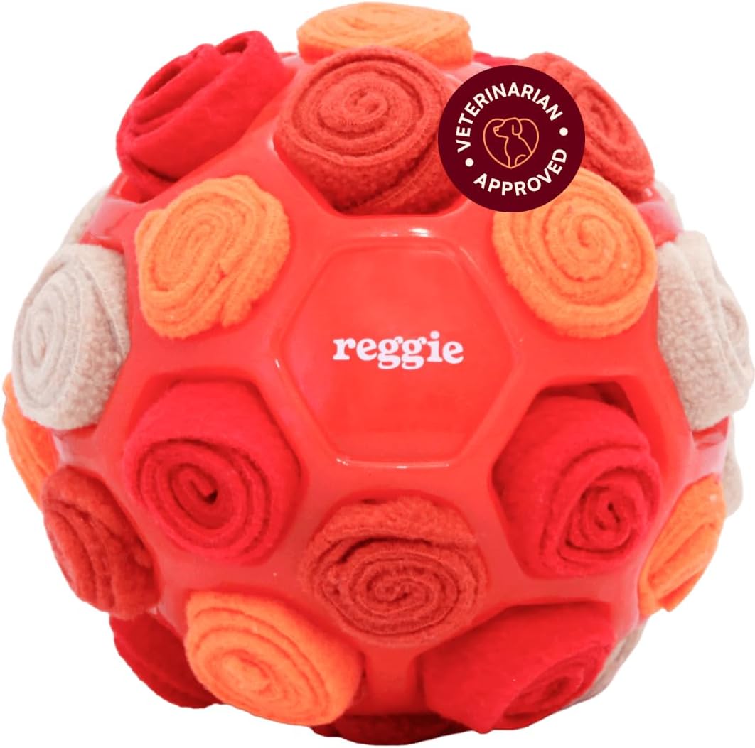 Reggie Snuffle Ball for Dogs