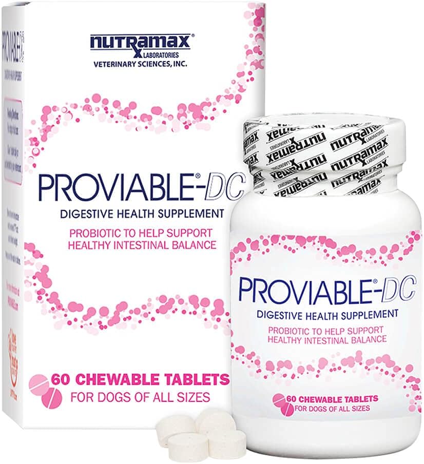 Nutramax Proviable Probiotics for Dogs