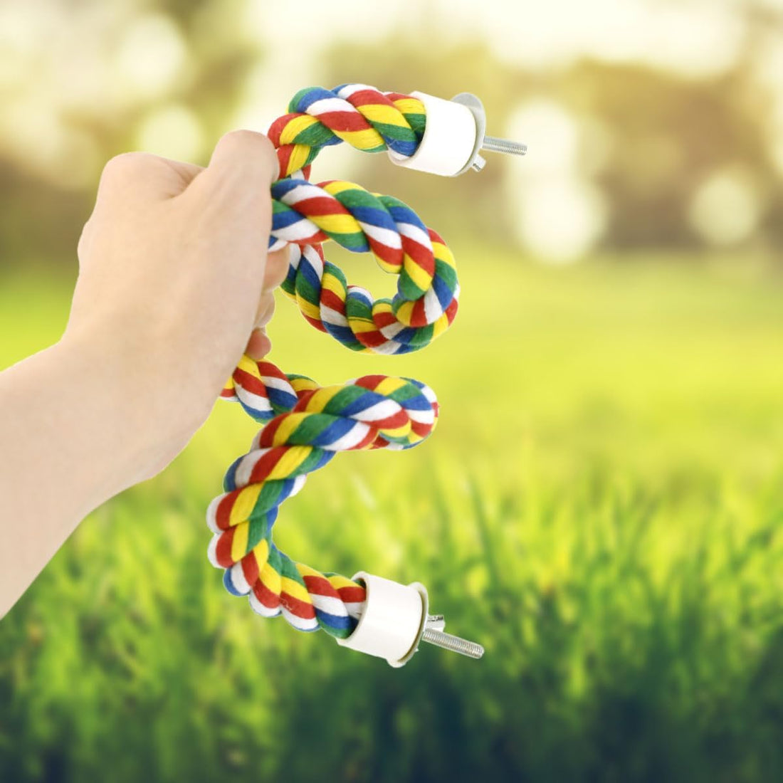 Bird Bungee Climbing Swing - Colorful Parakeet Rope Perch