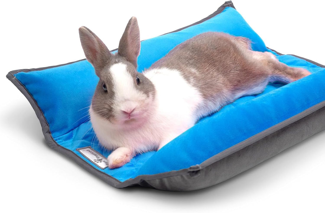 Paw Inspired Snuggle Bunny Bolster Bed, Gray/Beige, 17x17 Inch
