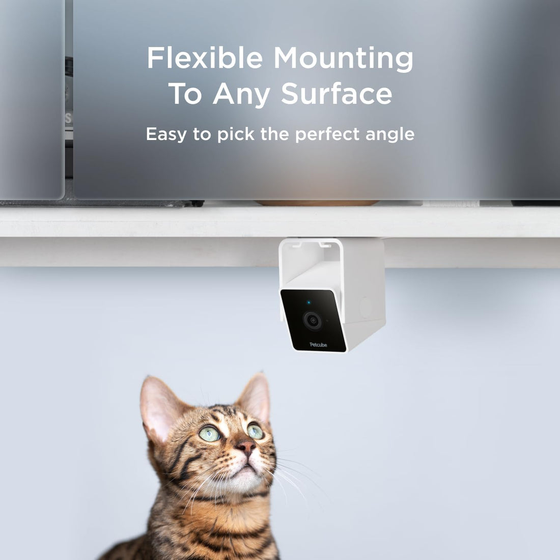 Petcube Cam | Indoor Wi-Fi Pet and Security Camera with Phone App