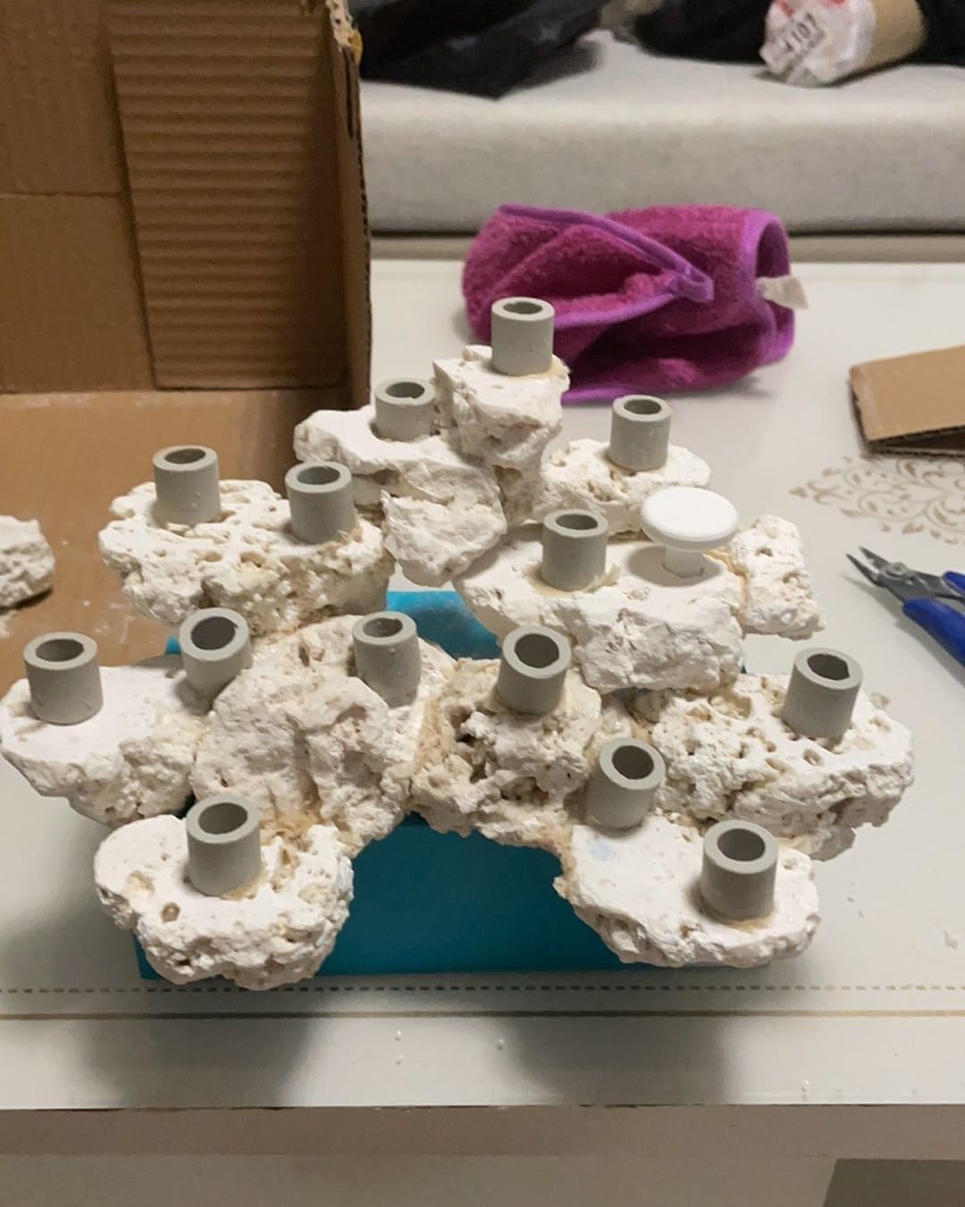 AWXZOM Pluggable Ceramic Coral Frag Plugs 12pcs + Coral Glue