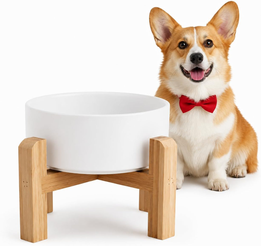 Elevated/Raised Ceramic Dog Bowl with Bamboo Stand，6 Inch 3.6 Cups