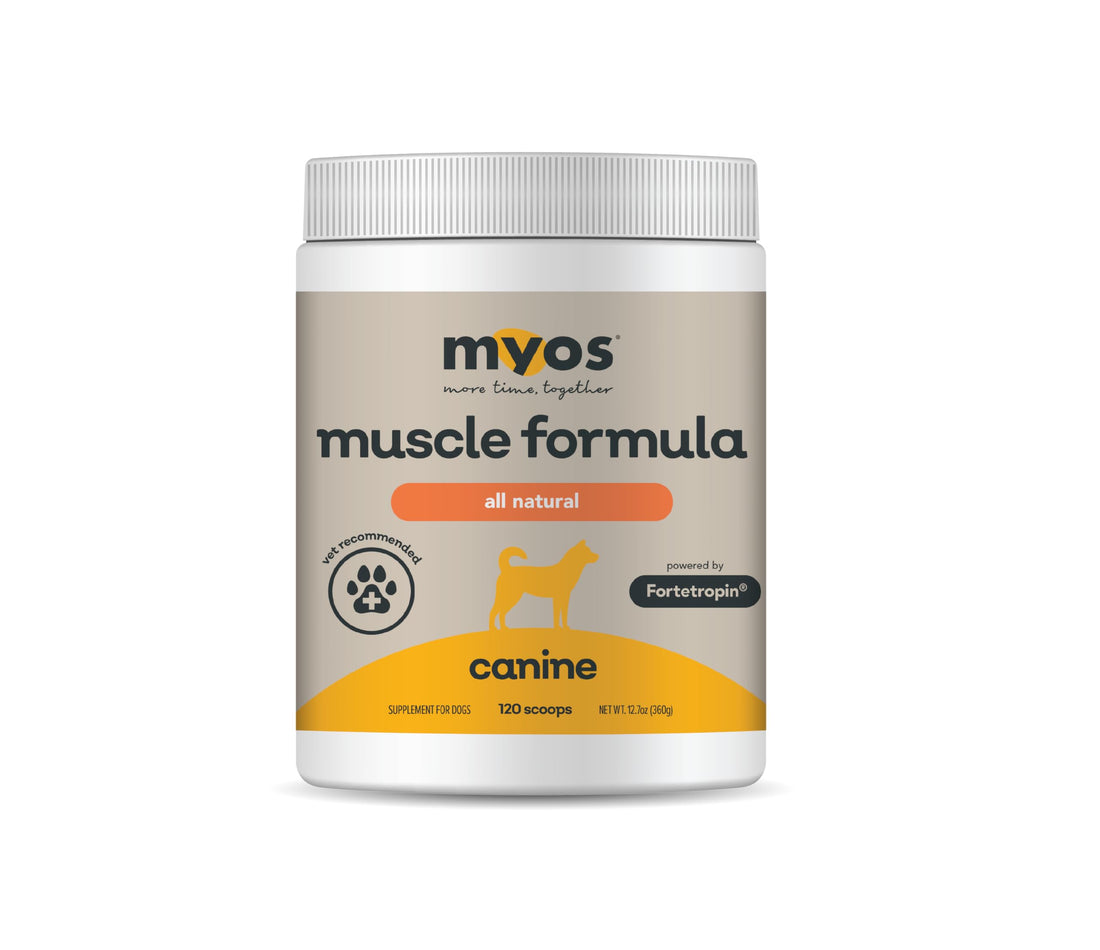 MYOS Canine Muscle Formula - All-Natural Muscle Building Supplement