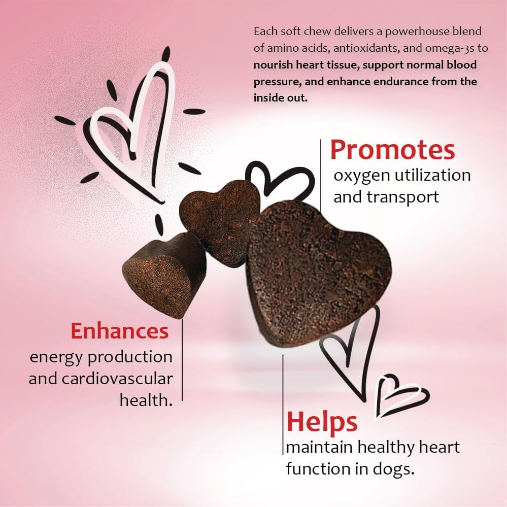 Heart Support Supplement for Dogs-Vet-Formulated