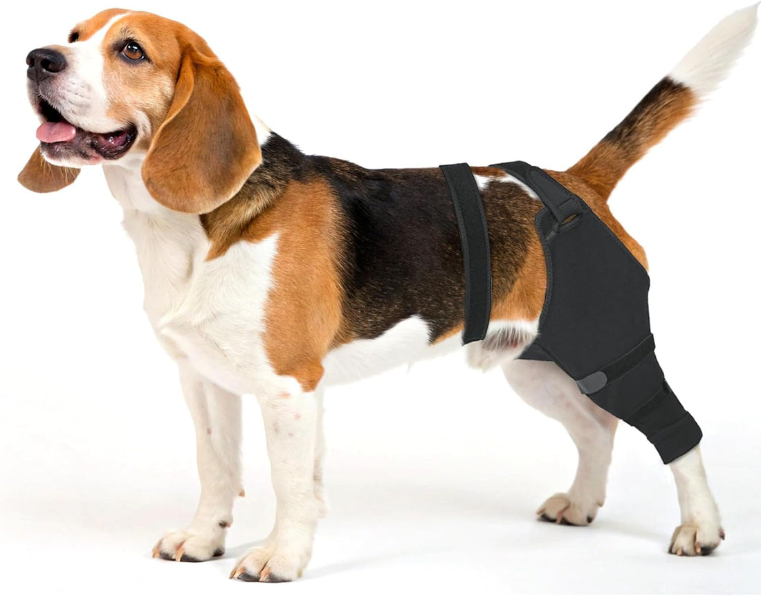 Dog Rear Leg Sleeve to Stop Licking