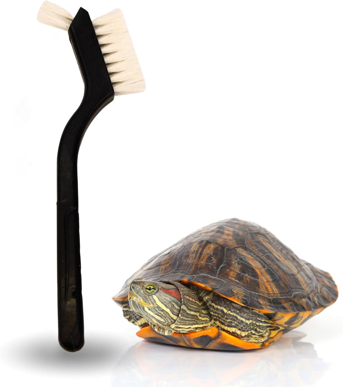 Turtle Cleaning Brush Remove Aquatic Mud, Dirt