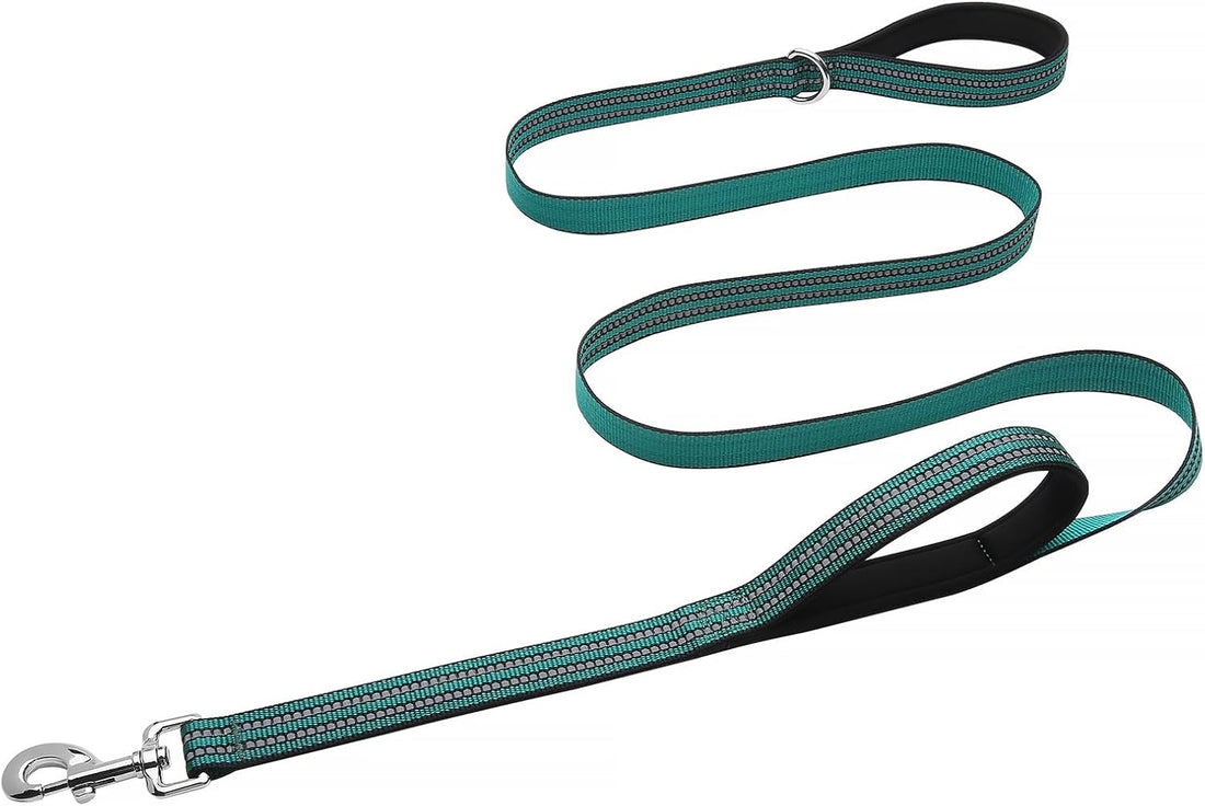 Hikiko 6FT Dog Leash with 2 Padded Handles Reflective