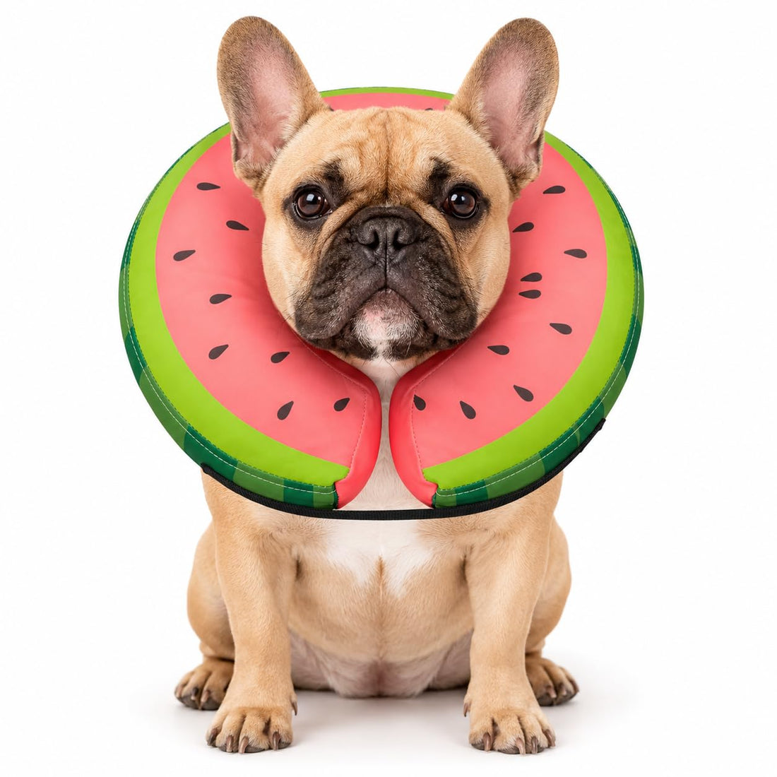 MIDOG Soft Inflatable Dog Cone