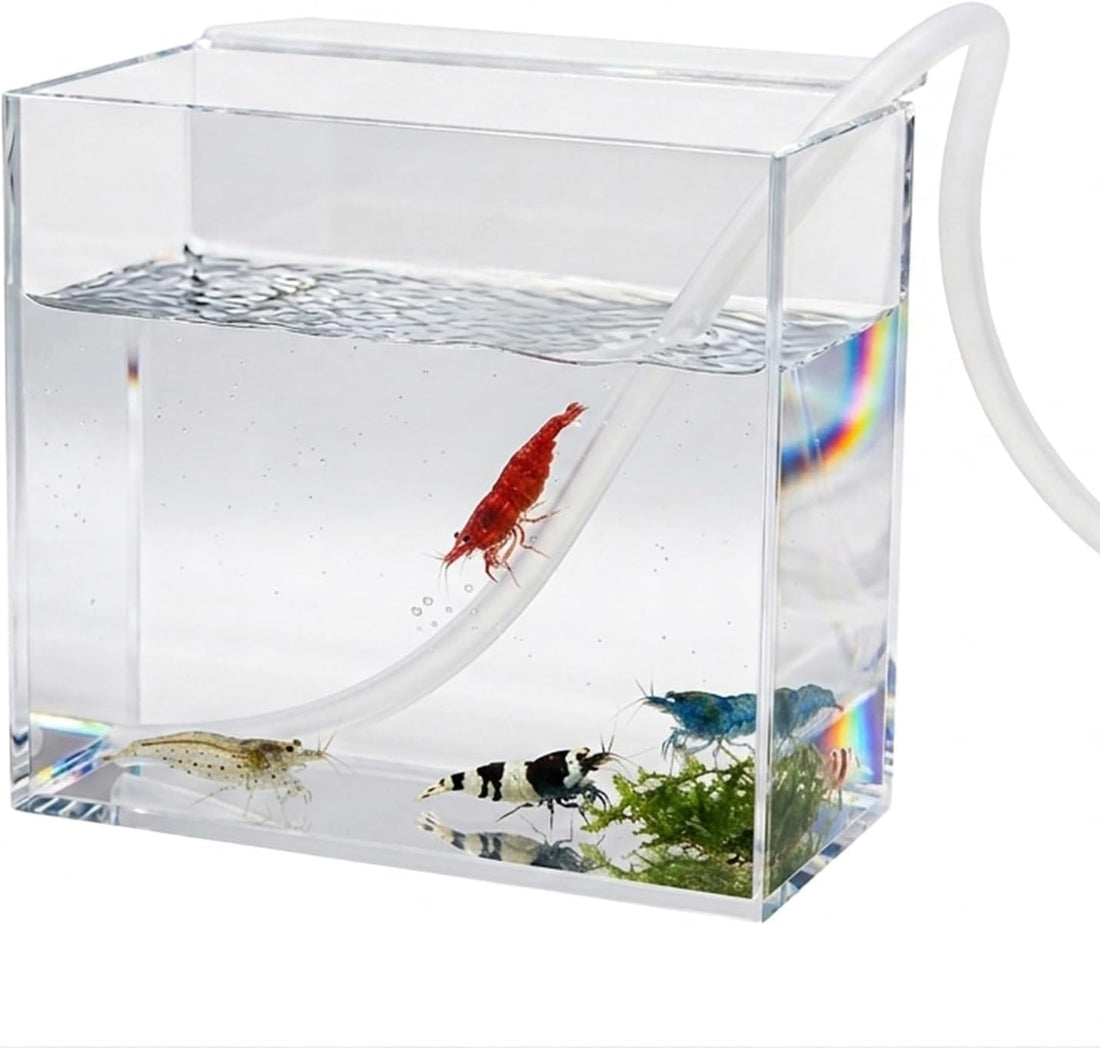 Drip Acclimation Box for Fish & Shrimp, Small
