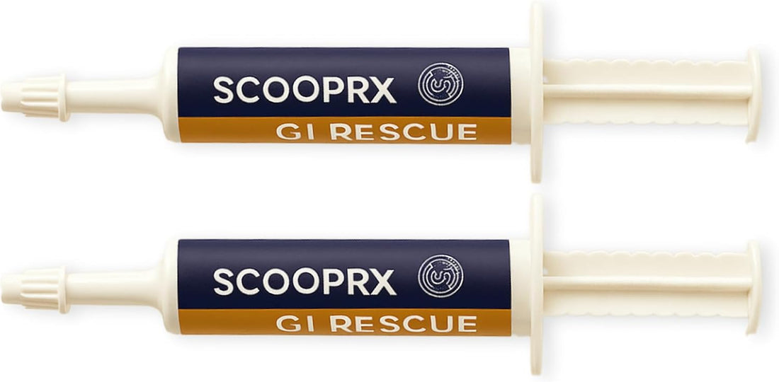 Horse Digestive Support System | Emergency & Daily GI Balance