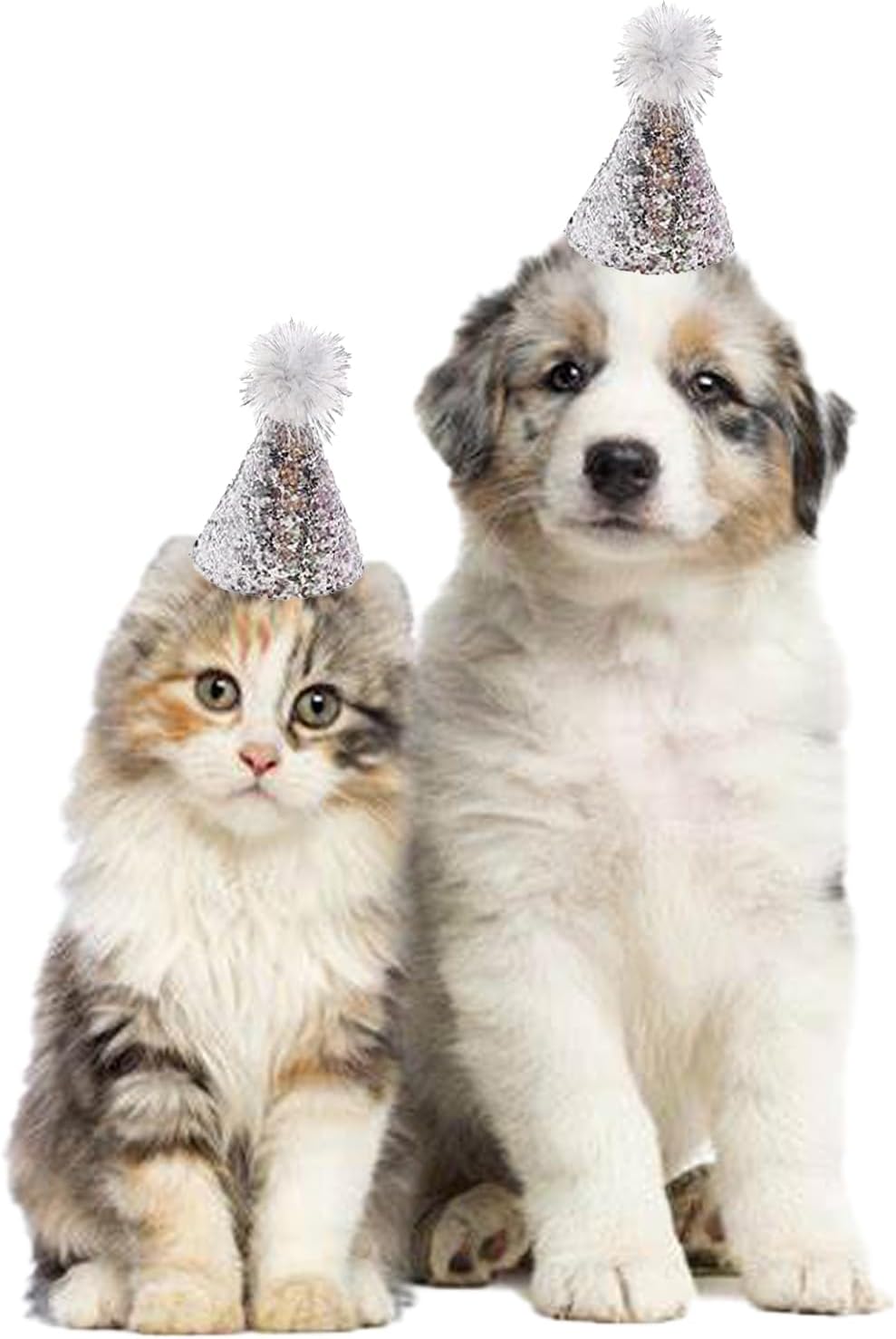 10 Pcs Dog Birthday Hat Set for Small Medium Dogs Cat Puppies