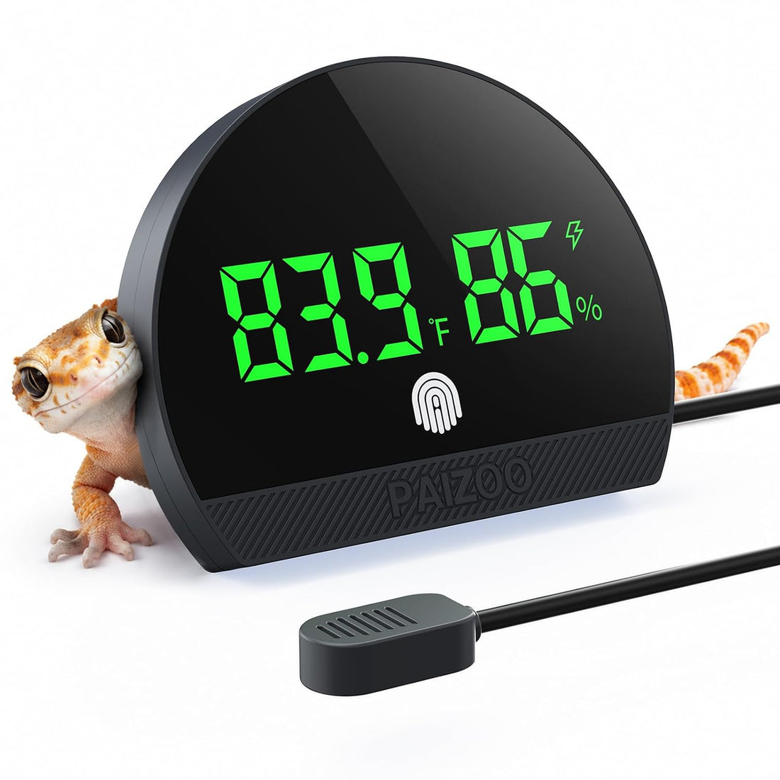 PAIZOO LED Rechargeable Reptile Thermometer Hygrometer Always-on